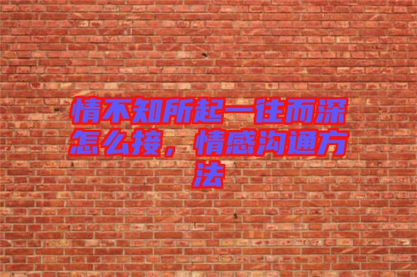 情不知所起一往而深怎么接，情感溝通方法