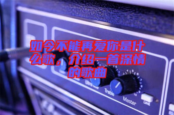如今不能再愛你是什么歌，介紹一首深情的歌曲