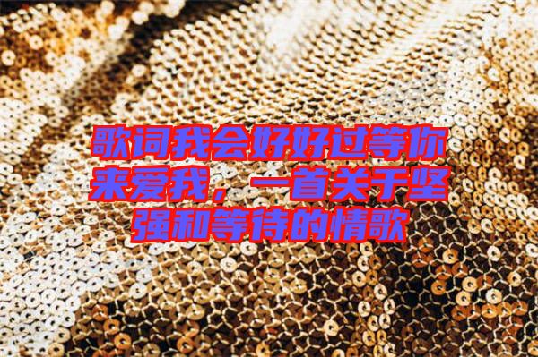 歌詞我會好好過等你來愛我，一首關于堅強和等待的情歌