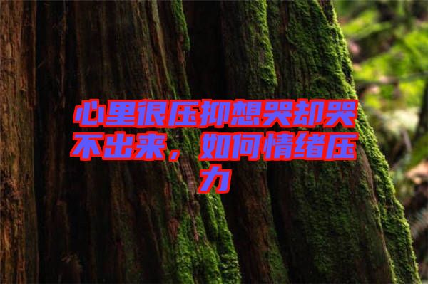 心里很壓抑想哭卻哭不出來，如何情緒壓力