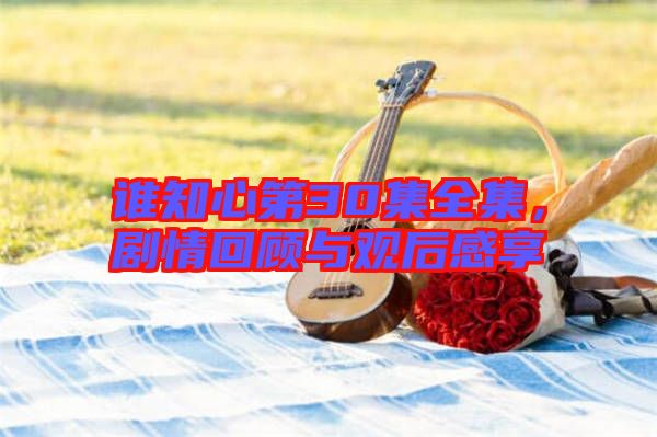 誰知心第30集全集，劇情回顧與觀后感享