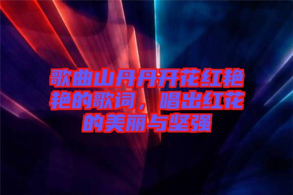 歌曲山丹丹開花紅艷艷的歌詞，唱出紅花的美麗與堅強