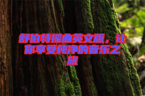 舒伯特?fù)u曲英文版，讓你享受純凈的音樂之旅