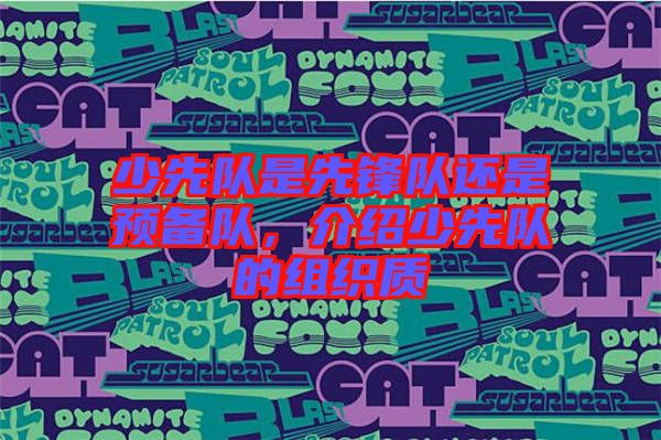 少先隊(duì)是先鋒隊(duì)還是預(yù)備隊(duì)，介紹少先隊(duì)的組織質(zhì)