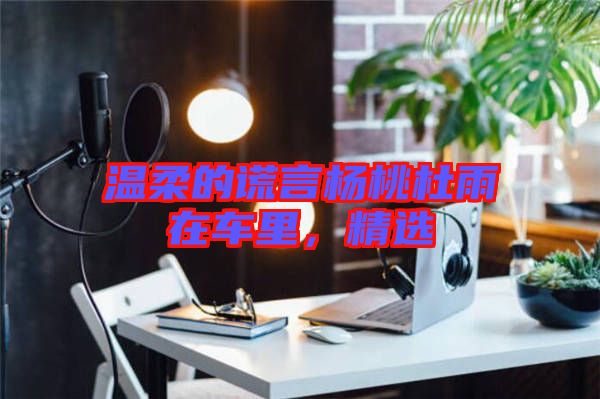 溫柔的謊言楊桃杜雨在車里，精選