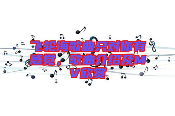飛輪海歌曲只對你有感覺，歌曲介紹及MV欣賞