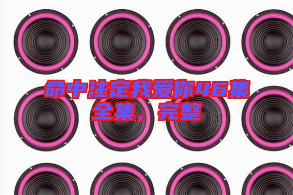 命中注定我愛你46集全集，完整