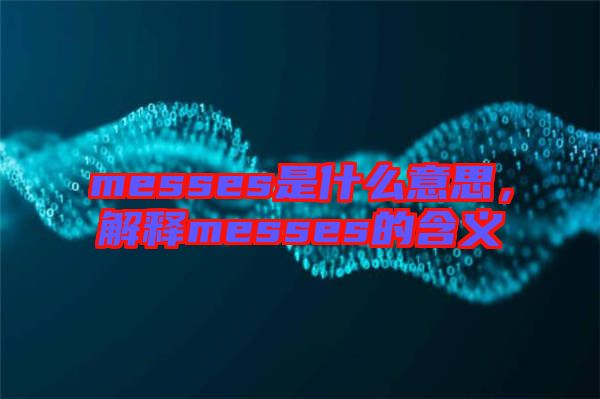 messes是什么意思，解釋messes的含義