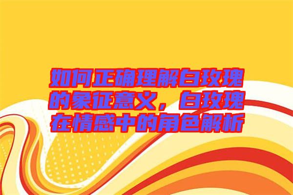 如何正確理解白玫瑰的象征意義，白玫瑰在情感中的角色解析