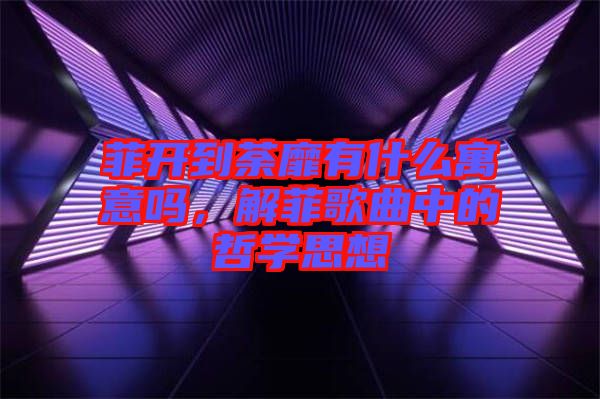 菲開(kāi)到荼靡有什么寓意嗎，解菲歌曲中的哲學(xué)思想