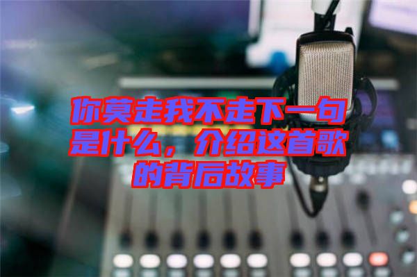 你莫走我不走下一句是什么，介紹這首歌的背后故事