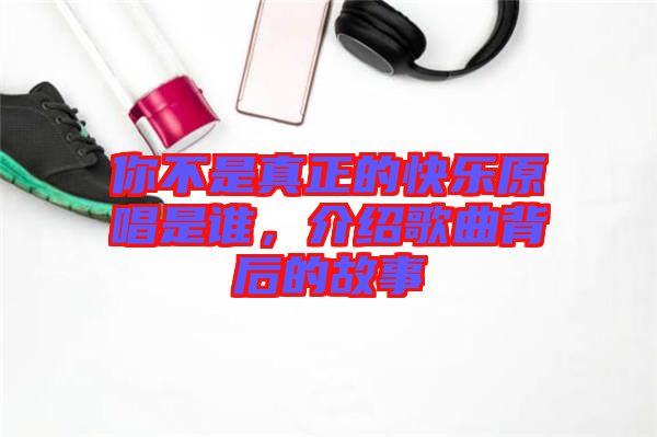 你不是真正的快樂原唱是誰，介紹歌曲背后的故事