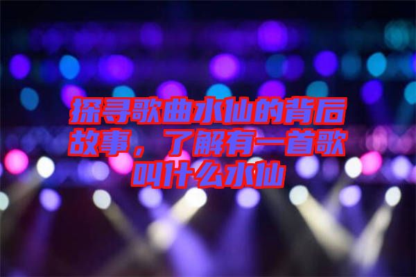 探尋歌曲水仙的背后故事，了解有一首歌叫什么水仙