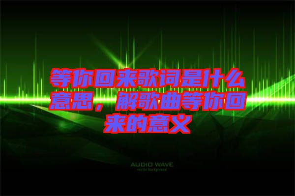 等你回來歌詞是什么意思，解歌曲等你回來的意義