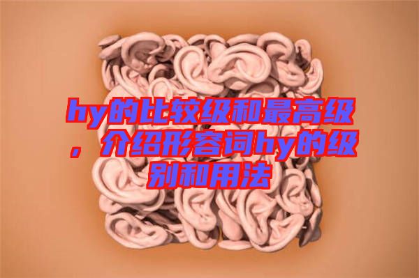 hy的比較級和最高級，介紹形容詞hy的級別和用法