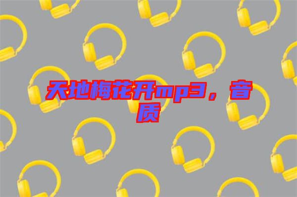 天地梅花開mp3，音質