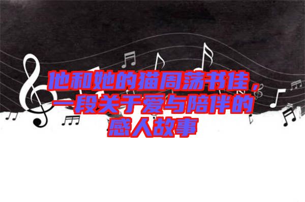 他和她的貓周蕩書佳，一段關(guān)于愛(ài)與陪伴的感人故事