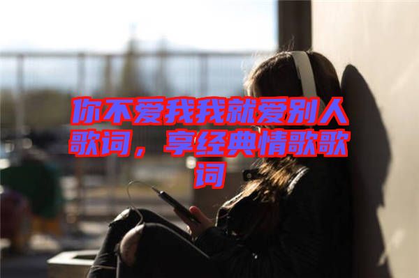 你不愛我我就愛別人歌詞，享經(jīng)典情歌歌詞