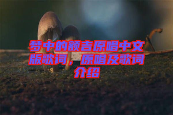 夢(mèng)中的額吉原唱中文版歌詞，原唱及歌詞介紹