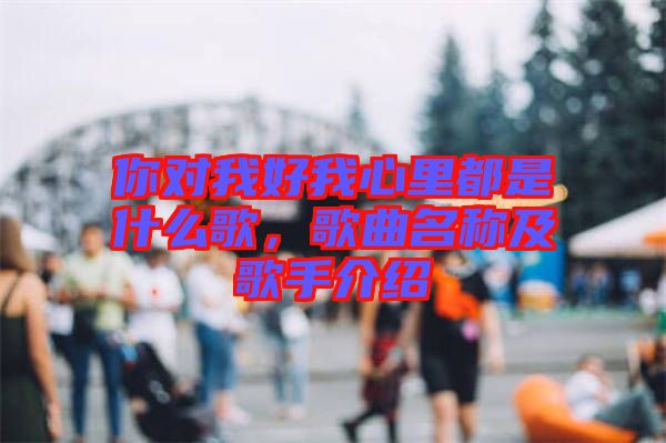 你對(duì)我好我心里都是什么歌，歌曲名稱及歌手介紹