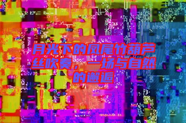 月光下的鳳尾竹葫蘆絲吹奏，一場與自然的邂逅