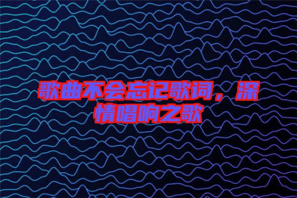 歌曲不會(huì)忘記歌詞，深情唱響之歌