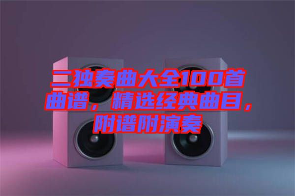 二獨(dú)奏曲大全100首曲譜，精選經(jīng)典曲目，附譜附演奏