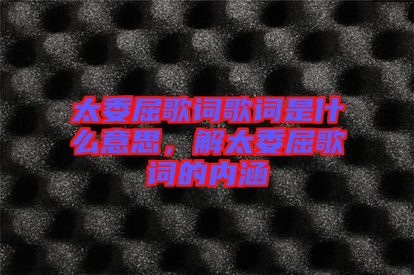 太委屈歌詞歌詞是什么意思，解太委屈歌詞的內涵
