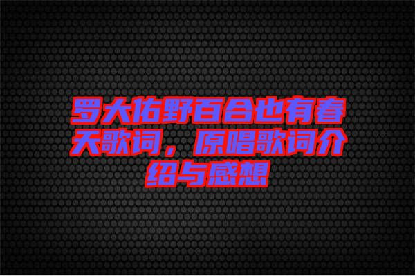 羅大佑野百合也有春天歌詞，原唱歌詞介紹與感想