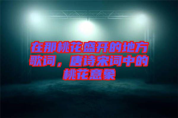 在那桃花盛開的地方歌詞，唐詩(shī)宋詞中的桃花意象