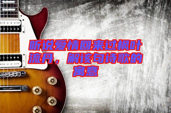 聽說愛情回來過楓葉流丹，解該句詩(shī)歌的寓意