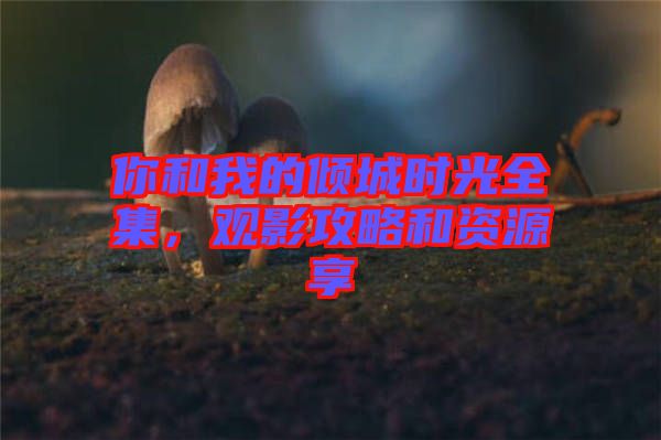 你和我的傾城時(shí)光全集，觀影攻略和資源享