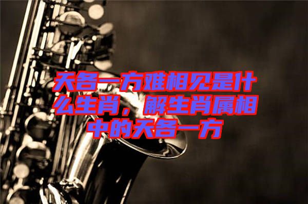 天各一方難相見是什么生肖，解生肖屬相中的天各一方