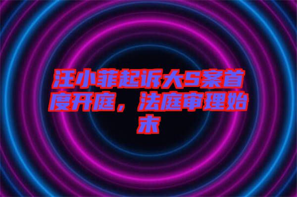 汪小菲起訴大S案首度開庭，法庭審理始末