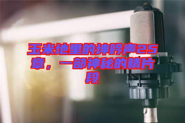 玉米地里的坤吟聲25章，一部神秘的精片段