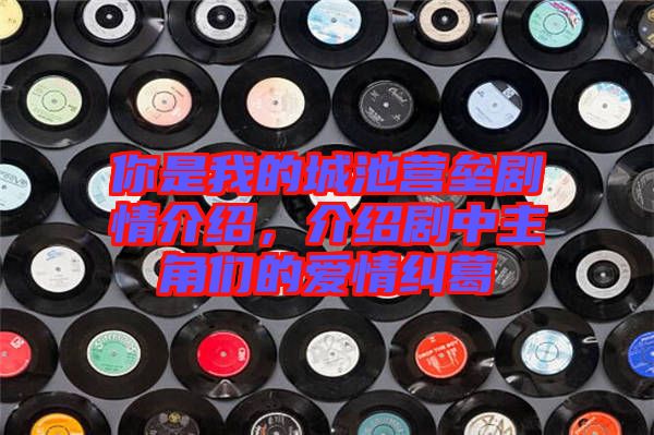 你是我的城池營(yíng)壘劇情介紹，介紹劇中主角們的愛(ài)情糾葛