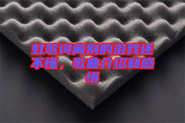 虹歌詞離別的淚我還不懂，歌曲介紹和感悟