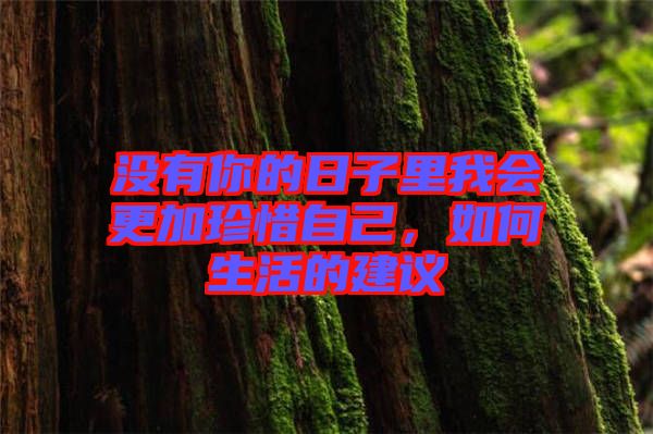 沒有你的日子里我會更加珍惜自己，如何生活的建議