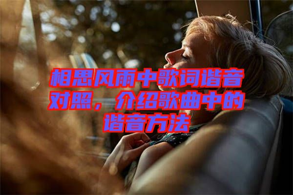 相思風雨中歌詞諧音對照，介紹歌曲中的諧音方法
