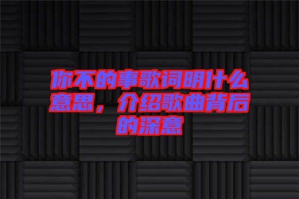 你不的事歌詞明什么意思，介紹歌曲背后的深意