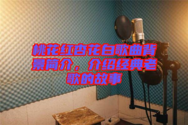 桃花紅杏花白歌曲背景簡(jiǎn)介，介紹經(jīng)典老歌的故事