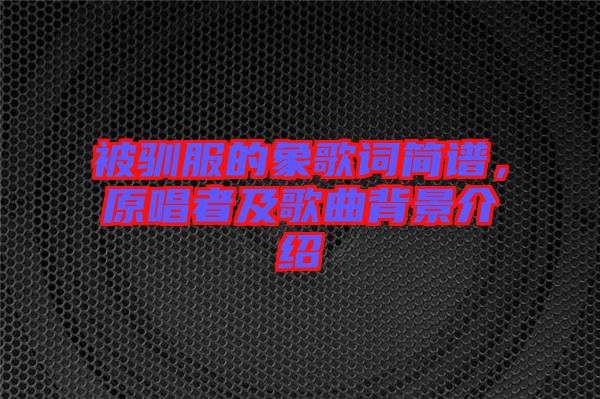 被馴服的象歌詞簡譜，原唱者及歌曲背景介紹