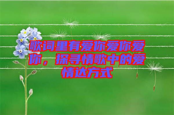 歌詞里有愛(ài)你愛(ài)你愛(ài)你，探尋情歌中的愛(ài)情達(dá)方式