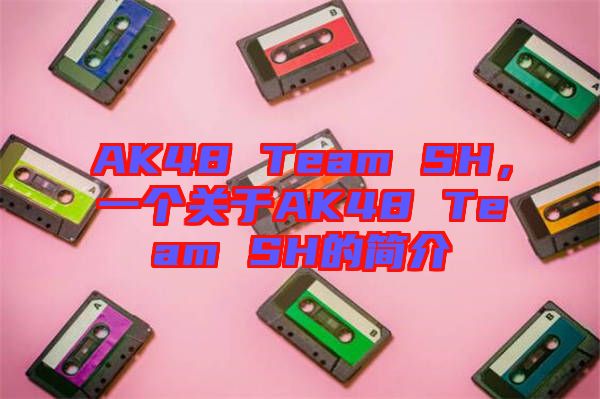 AK48 Team SH，一個(gè)關(guān)于AK48 Team SH的簡(jiǎn)介
