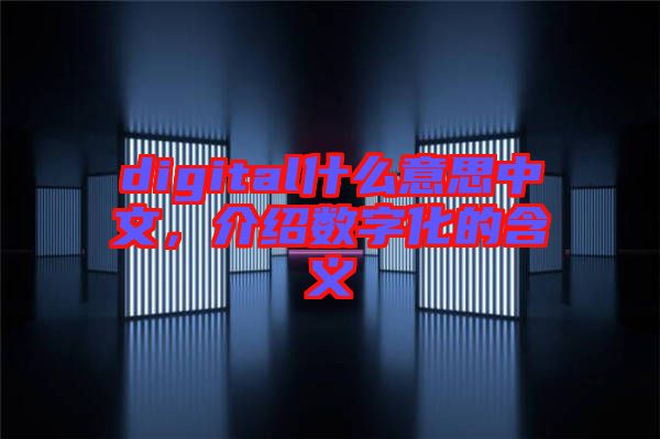 digital什么意思中文，介紹數(shù)字化的含義
