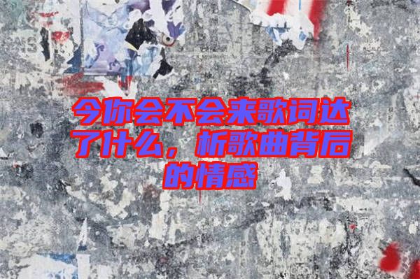 今你會不會來歌詞達了什么，析歌曲背后的情感