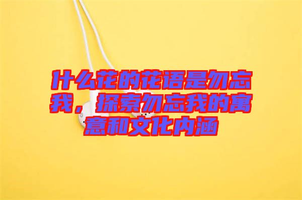 什么花的花語(yǔ)是勿忘我，探索勿忘我的寓意和文化內(nèi)涵