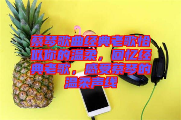 蔡琴歌曲經(jīng)典老歌恰似你的溫柔，回憶經(jīng)典老歌，感受蔡琴的溫柔聲線