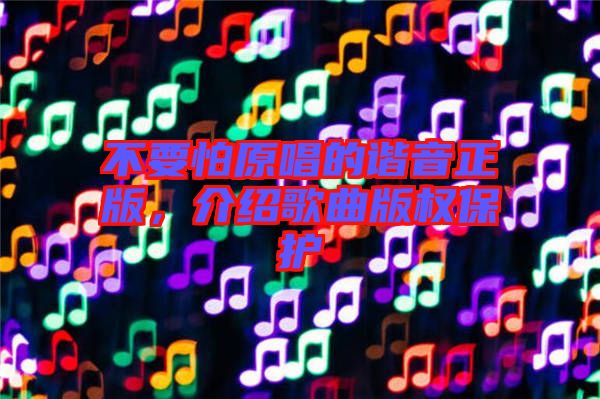 不要怕原唱的諧音正版，介紹歌曲版權(quán)保護(hù)