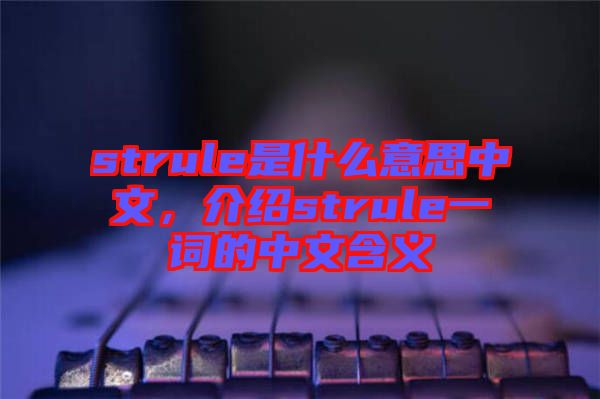 strule是什么意思中文，介紹strule一詞的中文含義